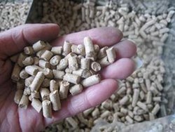 飼料原料采購質(zhì)量標(biāo)準(zhǔn)